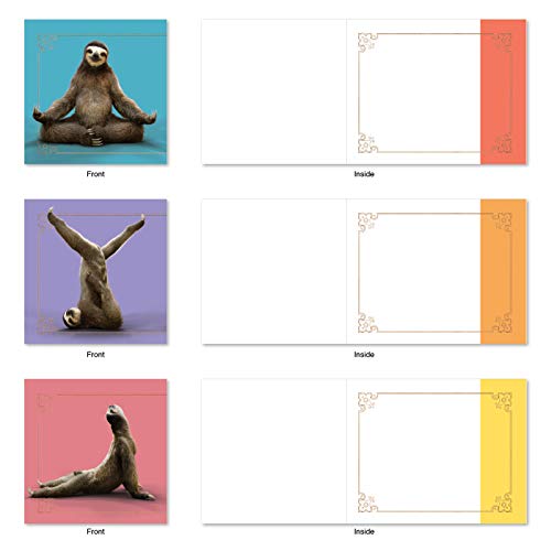 The Best Card Company - 10 Blank Yoga Note Cards (4x 5.12 Inch) - Boxed Notecards with Envelopes, Cute Animal Cards, Zen Assortment - Sloth Yoga AMQ6255OCB-B1x10