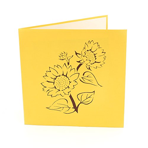 Liif 3D Greeting Pop Up Get Well Card, Get Well Soon Card (Sunflower)