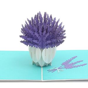 Liif Lavender Blooms Pop Up Card, 3D Flower Greeting Card, Pop Up Card for All Occasions, Birthday, Mother's Day, Anniversary, Wedding, Congratulations, Get Well Card, Handmade Gift