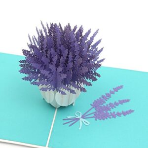 Liif Lavender Blooms Pop Up Card, 3D Flower Greeting Card, Pop Up Card for All Occasions, Birthday, Mother's Day, Anniversary, Wedding, Congratulations, Get Well Card, Handmade Gift