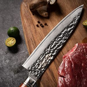 YARENH Chef Knife, 8 inch Professional Kitchen Knife,Sharp Damascus Stainless Steel Blade,73 Layers,High Carbon,Full Tang,Dalbergia Wood Handle,Gift Box Packaging,HTT-Series