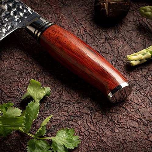 YARENH Chef Knife, 8 inch Professional Kitchen Knife,Sharp Damascus Stainless Steel Blade,73 Layers,High Carbon,Full Tang,Dalbergia Wood Handle,Gift Box Packaging,HTT-Series