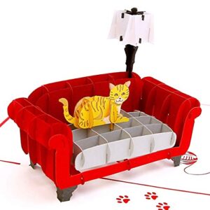 liif cat 3d greeting pop up card for all occasions, cat birthday card - kitty, cute, fun, thinking of you, just because, thank you, retirement, cat lover gift (cat on couch)