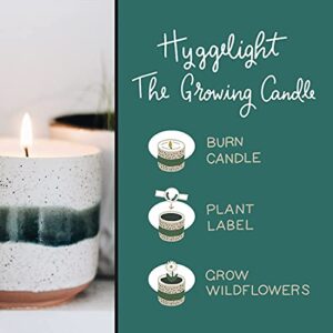 Hyggelight | The Growing Candle. Tired of Tossing Empty Candles? Try Our Less-Waste Solution. 8.5 oz, 45-50 hr Burn Time, 100% Soy Wax, Cotton Wick, Handmade Reusable Pot (Sandalwood + Vanilla, Edith)