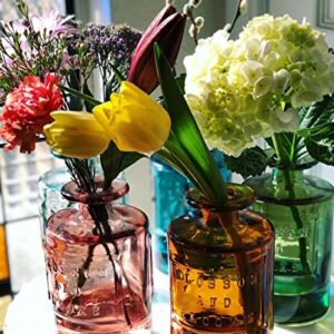 Time Concept Valencia 100% Recycled Glass Jar - Siete, Green - Handcrafted Flower Vase, Home Centerpiece Décor