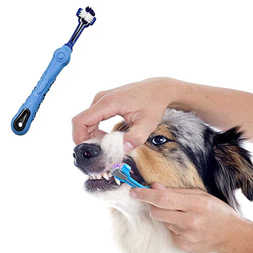 Orgrimmar 2 Pcs Three Sided Pet Toothbrush Dog Brush Addition Bad Breath Tartar Teeth Care Dog Cat Cleaning Mouth