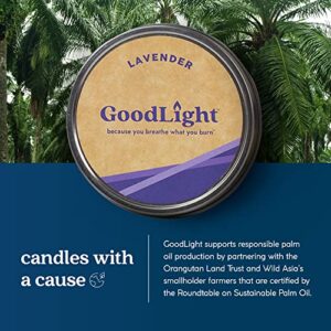 Paraffin-Free Scented Candle, Tin Candles, Birthday Gifts for Women & Men, 30-Hour Burn Time (Lavender, 6 oz)