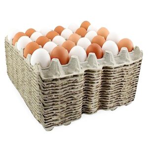 cornucopia 30-count egg flats (18 trays); biodegradable recycled material chicken egg cartons, each holds 30 eggs