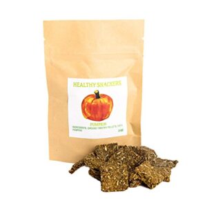 small pet select - healthy snackers - pumpkin