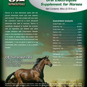 OE NUTRACEUTICALS Revive Oral Horse Suppliement (4 Doses)