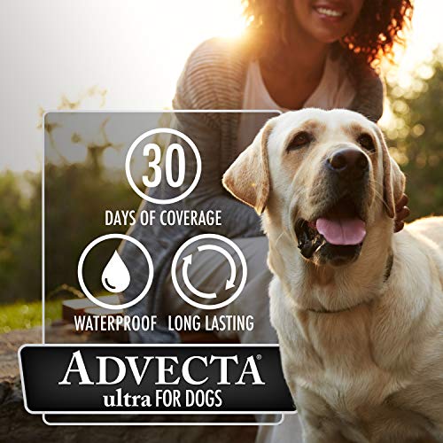 Advecta Ultra Flea And Tick Prevention For Dogs - Dog and Puppy Treatment and Control - Small, Medium, Large, XL, Fast Acting Waterproof Topical Drops, 4 Doses