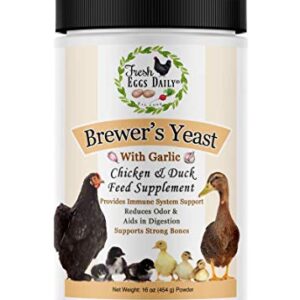 Fresh Eggs Daily Brewer's Yeast with Garlic Powder and Niacin for Ducks Feed Supplement Vitamins for Backyard Chickens 1LB