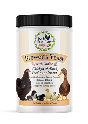 Fresh Eggs Daily Brewer's Yeast with Garlic Powder and Niacin for Ducks Feed Supplement Vitamins for Backyard Chickens 1LB