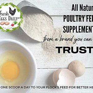 Fresh Eggs Daily Brewer's Yeast with Garlic Powder and Niacin for Ducks Feed Supplement Vitamins for Backyard Chickens 1LB