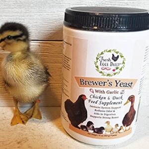 Fresh Eggs Daily Brewer's Yeast with Garlic Powder and Niacin for Ducks Feed Supplement Vitamins for Backyard Chickens 1LB