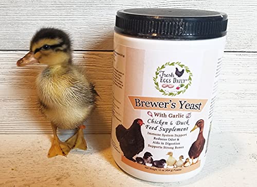 Fresh Eggs Daily Brewer's Yeast with Garlic Powder and Niacin for Ducks Feed Supplement Vitamins for Backyard Chickens 1LB