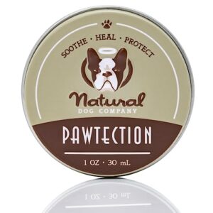 natural dog company pawtection, 1 oz tin, veterinarian-approved, all-natural dog paw balm and moisturizer, nourishing dog paw protector for rough terrain and harsh temperatures