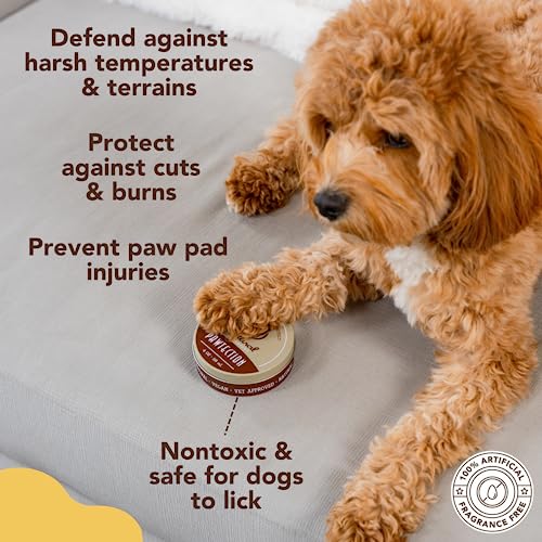 Natural Dog Company PawTection, 1 oz Tin, Veterinarian-Approved, All-Natural Dog Paw Balm and Moisturizer, Nourishing Dog Paw Protector for Rough Terrain and Harsh Temperatures