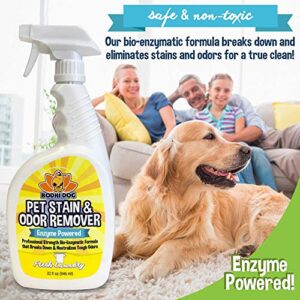 Bodhi Dog Natural Enzyme Powered Pet Stain and Odor Remover, 32 ounce