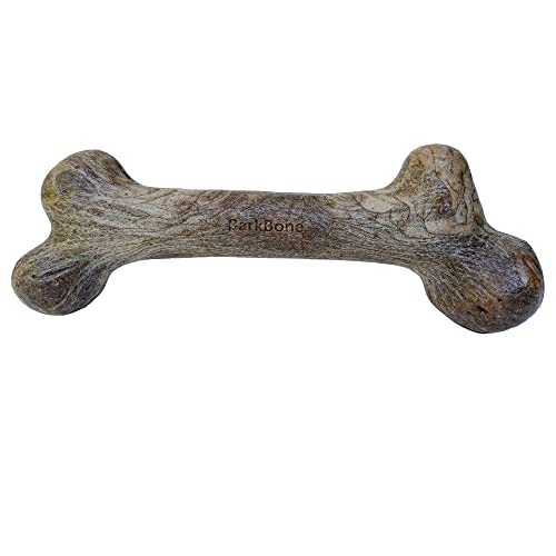 Pet Qwerks Dinosaur BarkBone - Nylon Dog Bone for Aggressive Chewers - Bacon Flavor - 8.5"