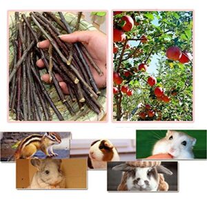 MAOM Nature Apple Sticks Pet Food Wood Chew Toys for Guinea Pigs Chinchilla Rabbits Hamster