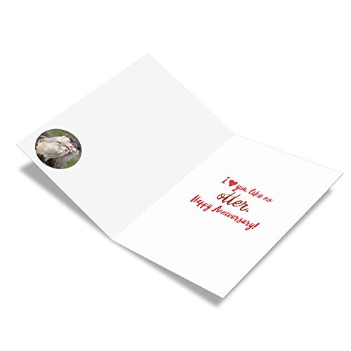 NobleWorks - Funny Anniversary Greeting Card - Romantic Spouse Humor, Married Couples Anniversary Notecard - Significant Otters C5528ANG