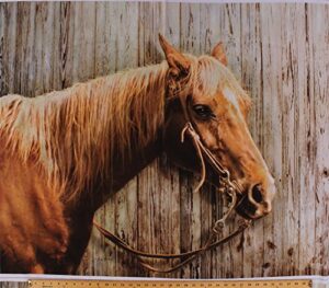 36" x 44" panel horse palomino equestrian animals hold your horses digital print cotton fabric panel (pd7013-palomino)
