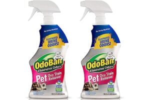 odoban pet solutions oxy stain remover, pet stain eliminator, 2-pack, 32 ounce spray each