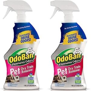 OdoBan Pet Solutions Oxy Stain Remover, Pet Stain Eliminator, 2-Pack, 32 Ounce Spray Each