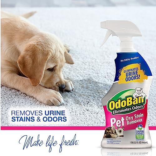 OdoBan Pet Solutions Oxy Stain Remover, Pet Stain Eliminator, 2-Pack, 32 Ounce Spray Each