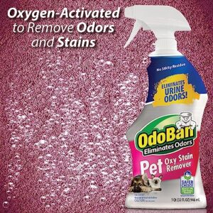 OdoBan Pet Solutions Oxy Stain Remover, Pet Stain Eliminator, 2-Pack, 32 Ounce Spray Each