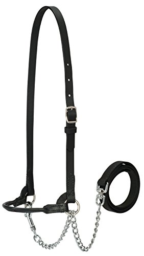 Weaver Leather Livestock Dairy Halter, X-Small, Black