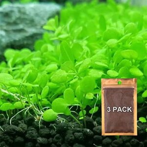 zafina 3 pack aquarium plant seeds, easy to grow aquatic plant seeds, fast growing aquarium carpet seeds - creates a natural ecosystem for your fish