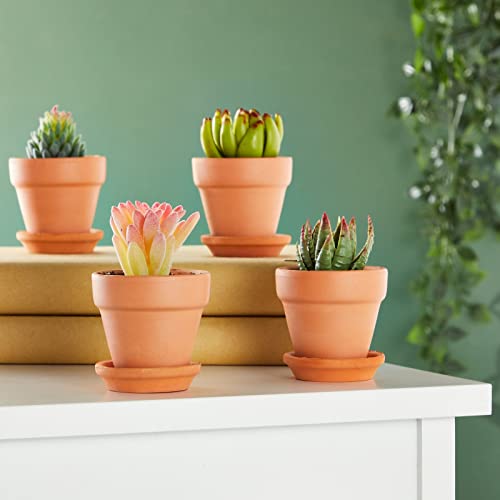 Juvale 2-Inch 16-Pack Small Terracotta Pots with Saucers and Drainage Hole, Paintable Pottery for Succulents, Plants, Flowers, Cactus, Garden Nursery, and Wedding Decor