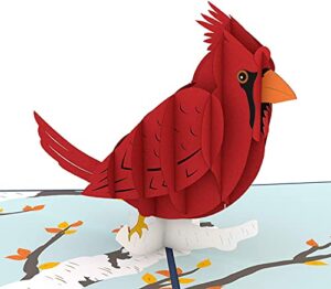 lovepop cardinal pop up card, 5x7-3d greeting card, animal card for every occasion - birthday, sympathy, anniversary, thinking of you