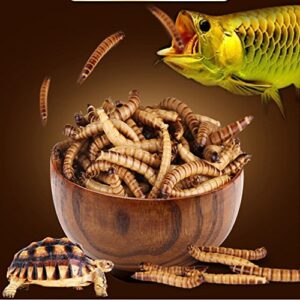 jacksuper 280g high protein turtle food mealworms bulk fresh dried mealworms treats for reptile snacks bird chicken fish food