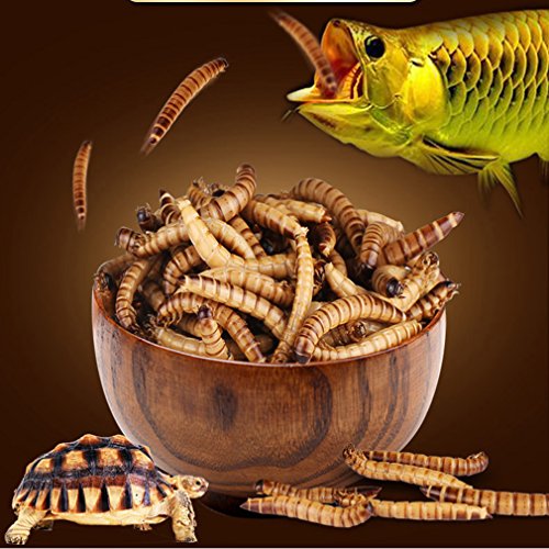 JackSuper 280g High Protein Turtle Food Mealworms Bulk Fresh Dried Mealworms Treats for Reptile Snacks Bird Chicken Fish Food