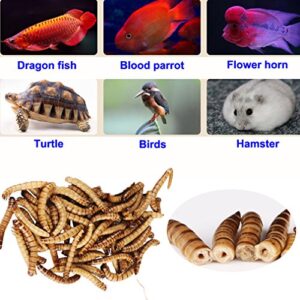 JackSuper 280g High Protein Turtle Food Mealworms Bulk Fresh Dried Mealworms Treats for Reptile Snacks Bird Chicken Fish Food