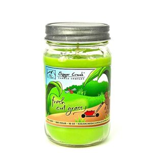 fresh cut grass- (like a summer morning) 100% soy wax candle. soy candles burn cleaner ~ longer ~ non-toxic ~ the original 100% yinzer made in usa. gift for any occasion