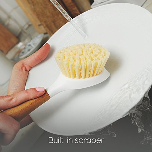 Full Circle Kitchen Sink Set - Ceramic Organizer with Be Good Dish Brush and In a Nutshell Scrubbing Sponges, Green