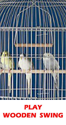 16" Diameter X 28" H Round Dome Canary Cockatiel Parakeet Bird Cage White