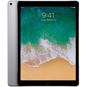 iPad Pro 9.7-inch (128GB, Wi-Fi + 4G LTE Cellular, Space Gray) MLQ32LL/A 2016 Model (Renewed)