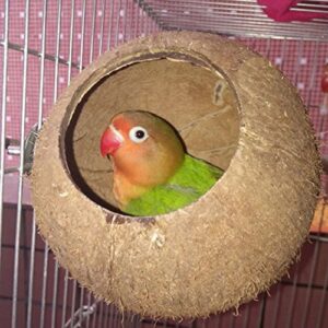 hypeety pet bird breeding nest coconut house swing ladder toys parrot parakeets finches hamster house natural nest lovebird cage hanging swing perch (c:coco cage perch toy)