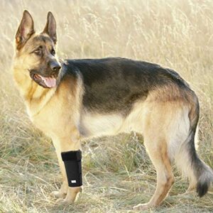 IN HAND Dog Leg Brace, Pair of Dog Canine Leg Wrap Front Leg Compression Brace with Metal Strips & Safety Reflective Straps, Protects Wounds Brace Heals and Prevents Injuries and Sprains