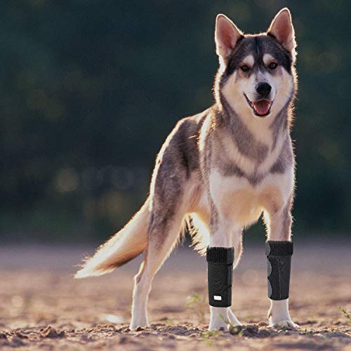 IN HAND Dog Leg Brace, Pair of Dog Canine Leg Wrap Front Leg Compression Brace with Metal Strips & Safety Reflective Straps, Protects Wounds Brace Heals and Prevents Injuries and Sprains