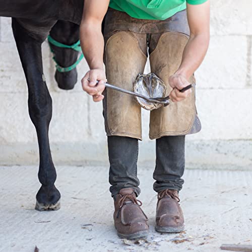 SURGICAL ONLINE Premium Hoof Tester for Horses - 13" Size, Veterinary-Grade, Surgical Stainless Steel, Autoclavable, Corrosion-Resistant