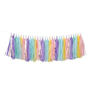 fonder mols rainbow tissue tassel garland diy kit pink pastel ombre tassel banner for girls room,nursery, unicorn baby shower birthday party decorations a29