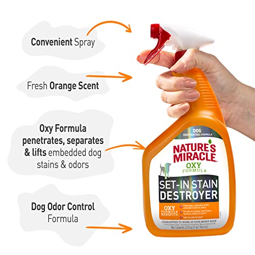 Nature's Miracle Dog Oxy Set-in Stain Destoyer
