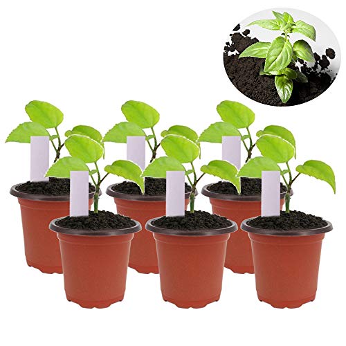 Huvai 100 Pcs 4" Plastic Seedlings Plants Nursery Pots with 100 Pcs Waterproof Plastic Plant Tags and 2Pcs/Set Transplanting Digging Mini Tools