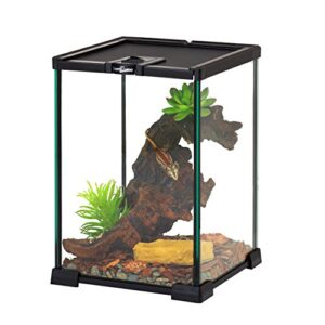 REPTIZOO Mini Reptile Glass Terrarium Tank 8" x 8" x 12" Full View Visually Appealing Top Feeding & Venlitation Small Reptile Glass Habitat